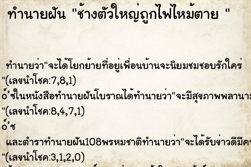 ทำนายฝัน ช้างตัวใหญ่ถูกไฟไหม้ตาย 